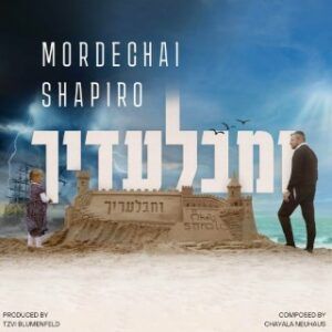 מרדכי שפירא - ומבלעדיך