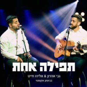 אליהו חייט