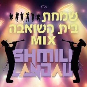 שמילי לנדאו - מיקס שמחת בית השואבה