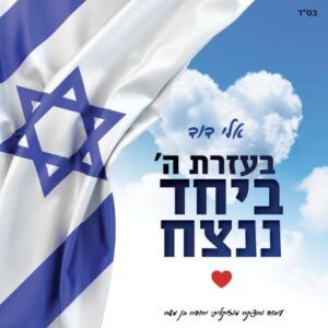 אלי דוד