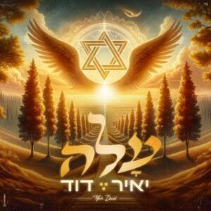 יאיר דוד
