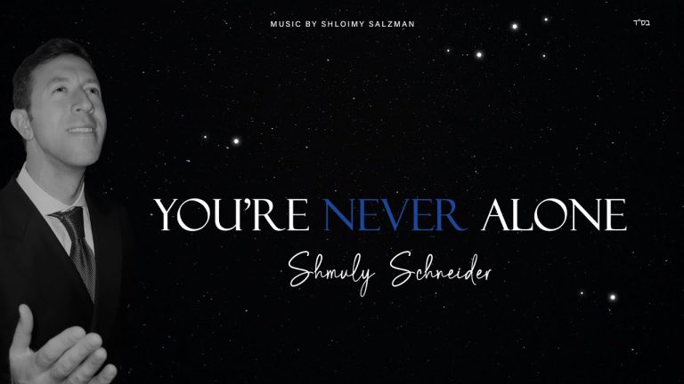 שמולי שניידר - You’re Never Alone (Avraham Fried Cover) | שמולי שניידער
