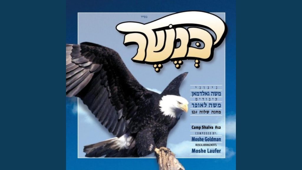 משה גולדמן - Veneirayhue