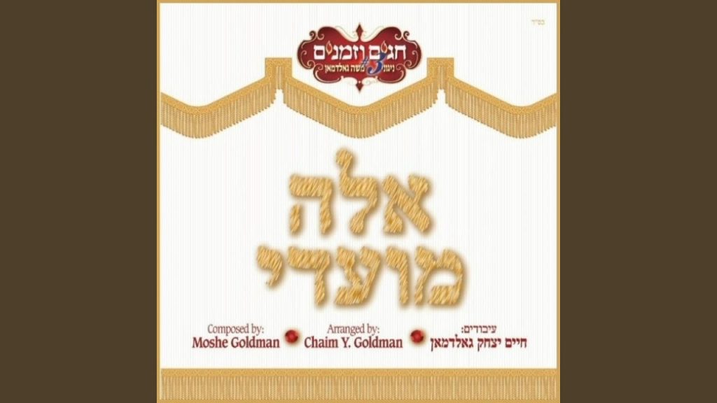 משה גולדמן - Sisu