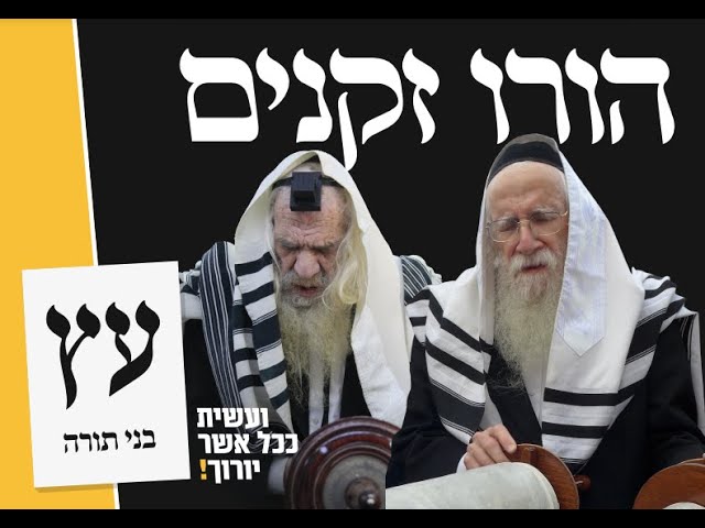 מקהלת מלכות - קליפ בחירות מפלגת 'בני תורה' תשפ"ד בנצי שטיין ומלכות |2024|New Campaign Single Bnei Torah (Eitz)