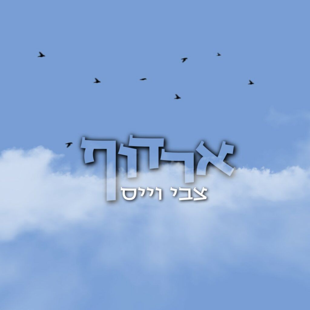 צבי וייס - ארדוף