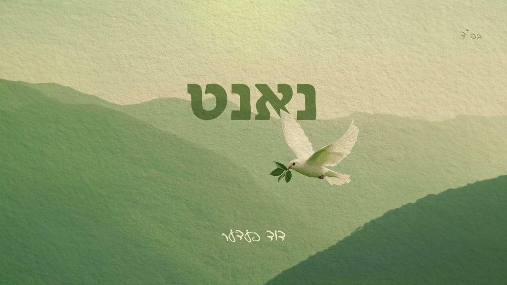 דוד פדר - Close - Duvid Feder • דוד פעדער - נאנט