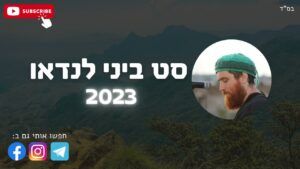 ביני לנדאו