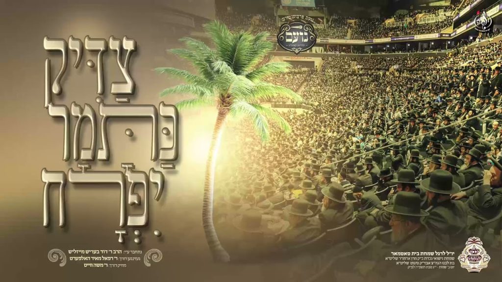 Noam Choir - נועם חסידישע קאפעליע - Tzadik Katumar Yifruch - צדיק כתמר יפרח