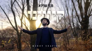 מנדי שפירא