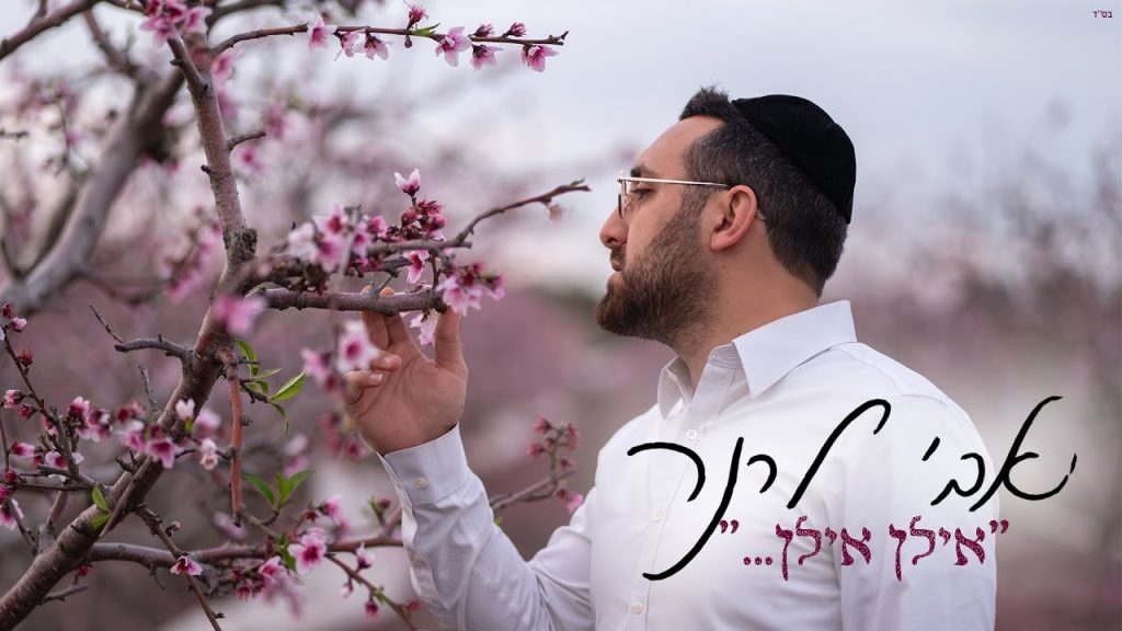 אבי לרנר - אילן אילן