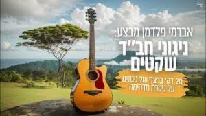 אברמי פלדמן