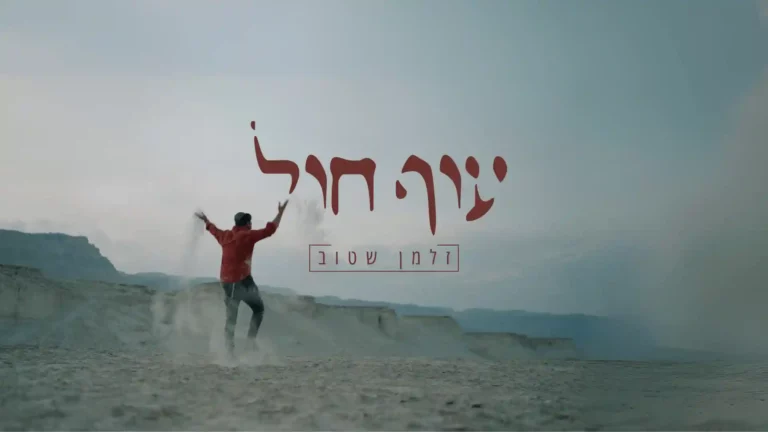 זלמן שטוב - עוף חול