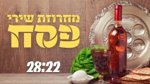 מנחם ליפשיץ