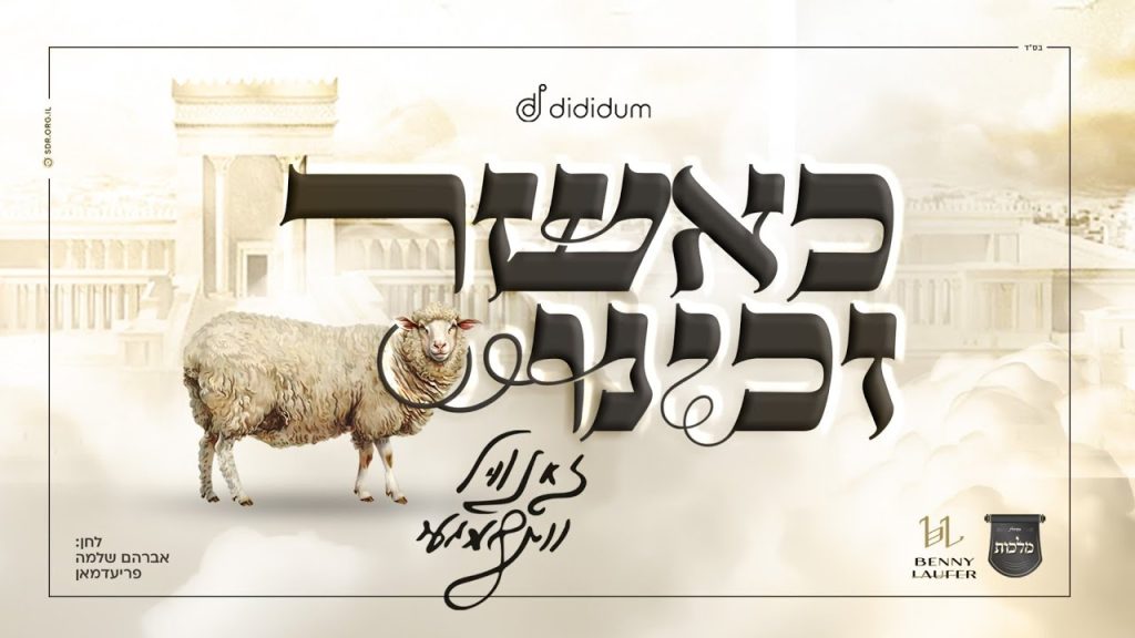 זאנוויל ו'מלכות' - כאשר זכינו