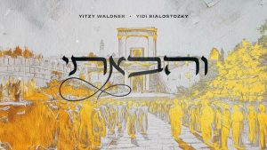 איצי וולדנר