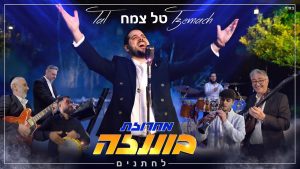 טל צמח - מחרוזת בוננזה לחתנים