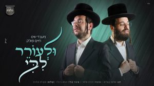 מענדי וויס