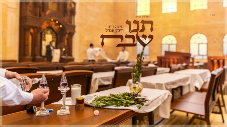 משה דוד וייסמאנדל - משה דוד וייסמנדל - תנו שבח | Moshe Duvid Weissmandl - Tni Shevach