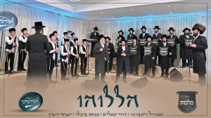 יענקי רובין