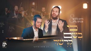 צביקי לוין