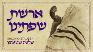 שלמה שטאובר