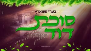 בערי שווארץ