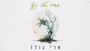 ארי גולד