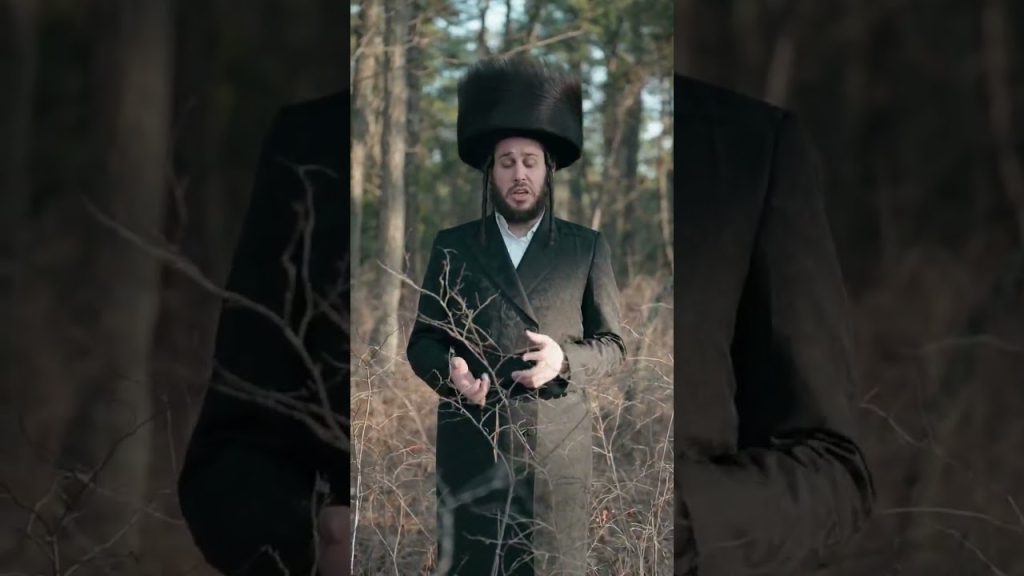 טובי' שטיינר - שירה חדשה