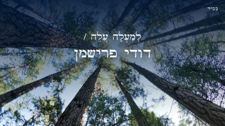 דודי פרישמן - למעלה עלה