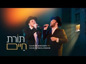 חיים ברוין