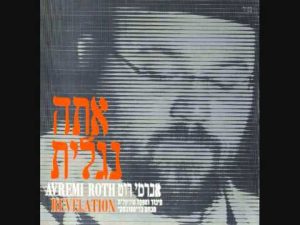 אברימי רוט ♫ מנוחה ושמחה - אברימי רוט (אלבום אתה נגלית) Avremi Rot