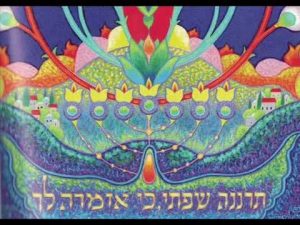 אודי דוידי