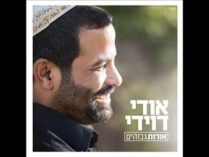אודי דוידי
