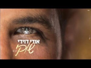 אודי דוידי