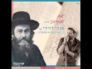 אודי דוידי