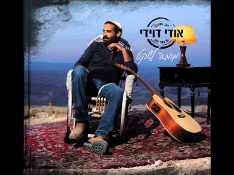 אודי דוידי, הראל דוידי - לצעוד לבד