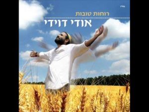 אודי דוידי