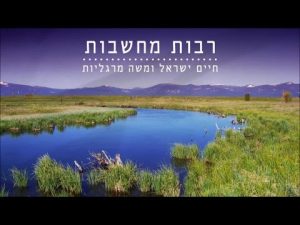 משה מרגליות