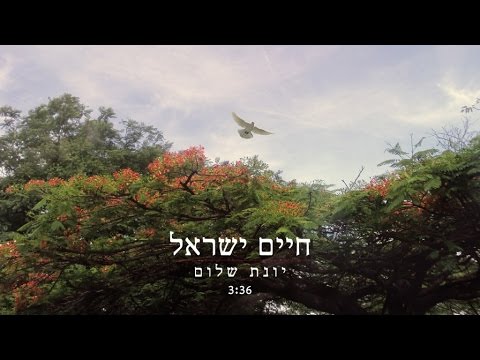 חיים ישראל - יונת שלום