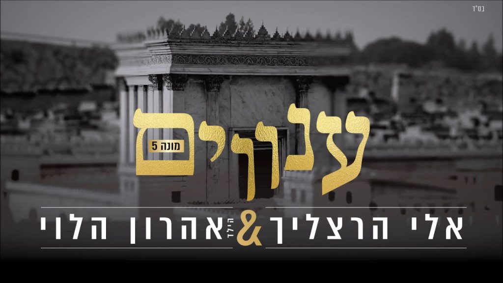 אלי הרצליך, אהרון הלוי - ענווים [מונה 5]