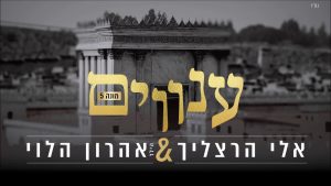 אהרון הלוי