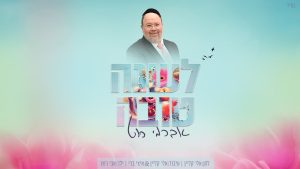 אברימי רוט - לשנה טובה | Avremi roth - Leshana Tova
