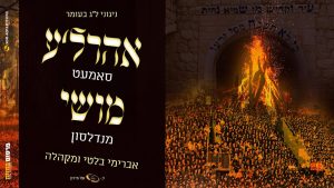 משה מנדלסון