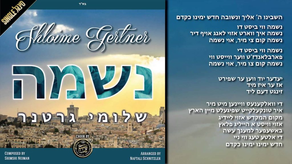שלומי גרטנר - נשמה