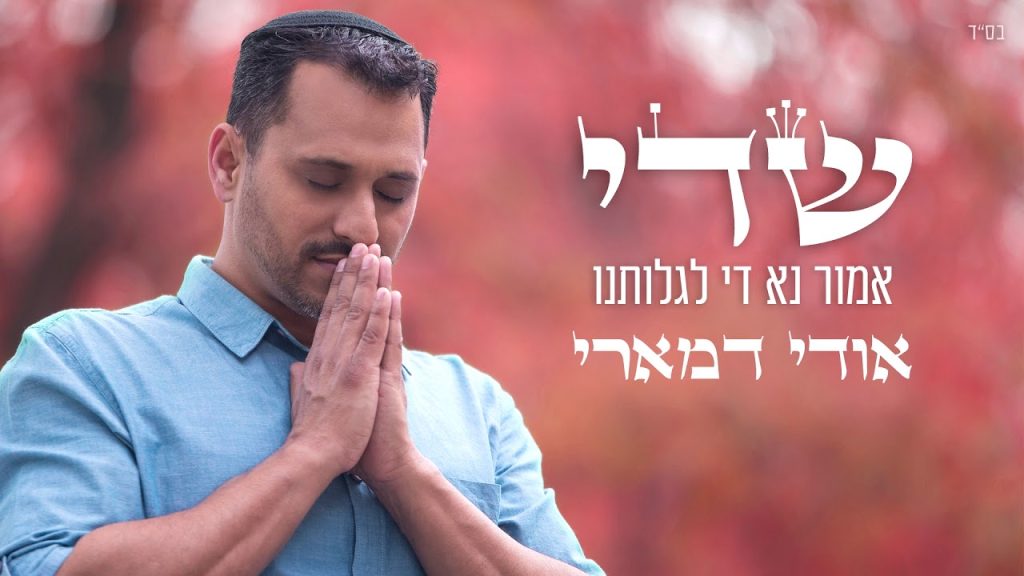 אודי דמארי - שדי