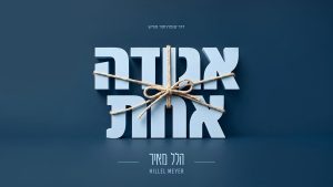 הלל מאיר - אגודה אחת