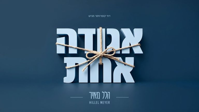 הלל מאיר - אגודה אחת
