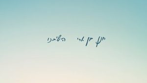 חנן בן ארי