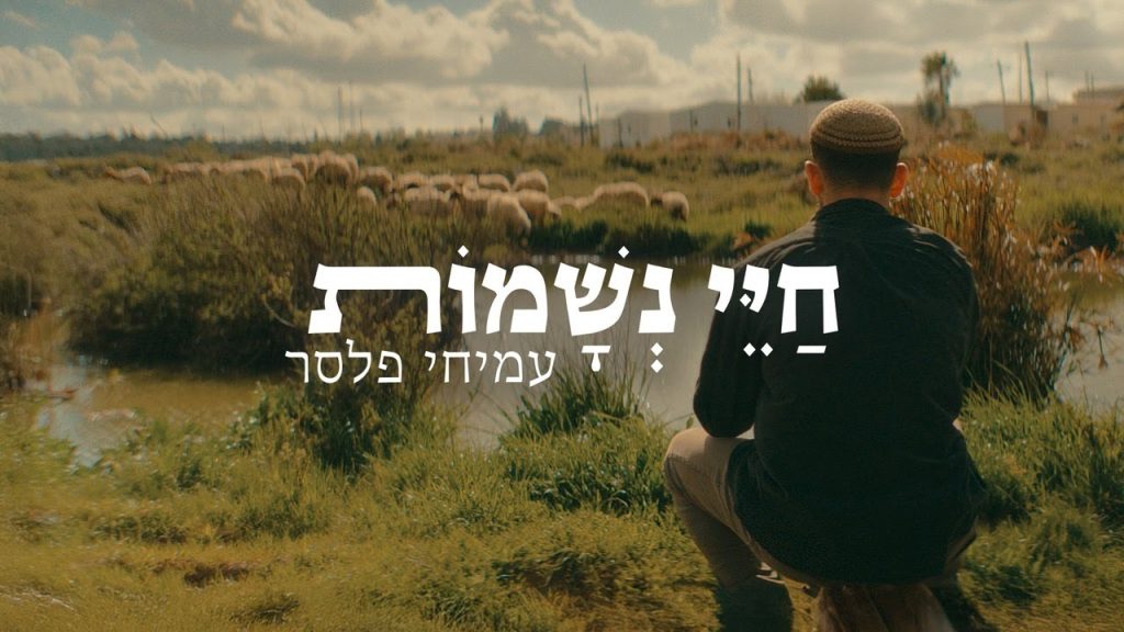 עמיחי פלסר - חיי נשמות